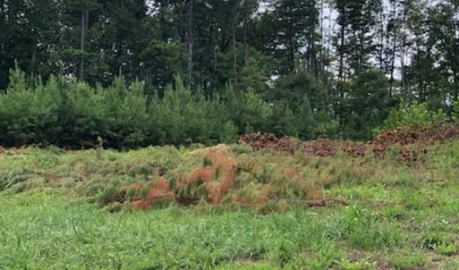 Photo #4 of ESMONT RD, ESMONT, VA 151.4 acres