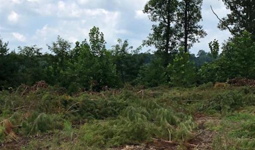 Photo #5 of ESMONT RD, ESMONT, VA 151.4 acres