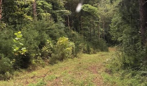Photo #1 of ESMONT RD, ESMONT, VA 151.4 acres