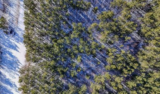 Photo #10 of 5339 Deer Run Road, Farmville, VA 45.2 acres