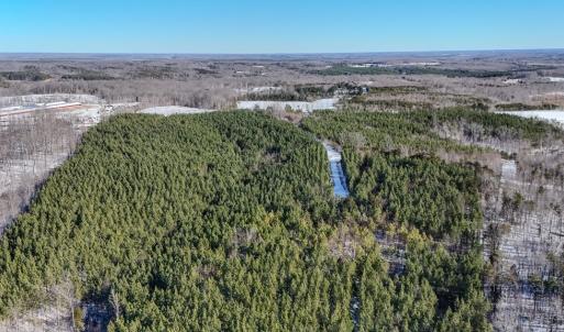 Photo #16 of 5339 Deer Run Road, Farmville, VA 45.2 acres