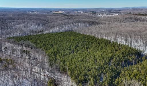 Photo #11 of 5343 Deer Run Road, Farmville, VA 45.2 acres