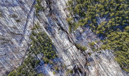 Photo #12 of 5343 Deer Run Road, Farmville, VA 45.2 acres