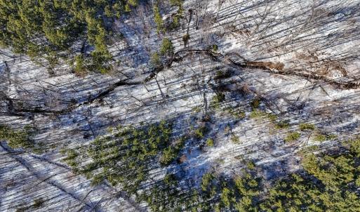 Photo #14 of 5343 Deer Run Road, Farmville, VA 45.2 acres