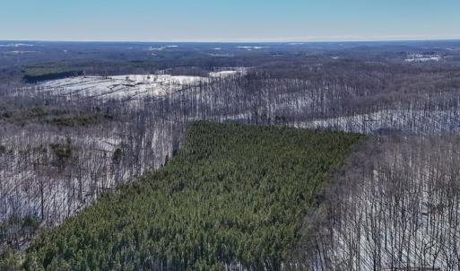 Photo #15 of 5343 Deer Run Road, Farmville, VA 45.2 acres