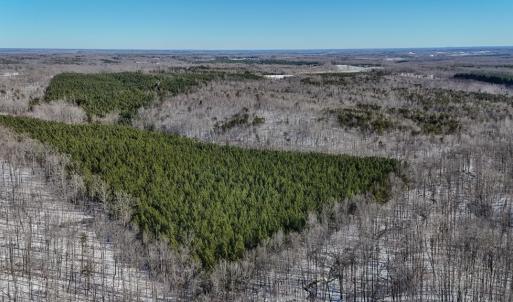 Photo #18 of 5343 Deer Run Road, Farmville, VA 45.2 acres