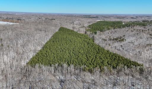 Photo #19 of 5343 Deer Run Road, Farmville, VA 45.2 acres