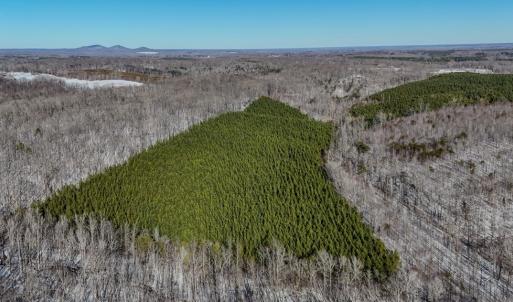 Photo #20 of 5343 Deer Run Road, Farmville, VA 45.2 acres