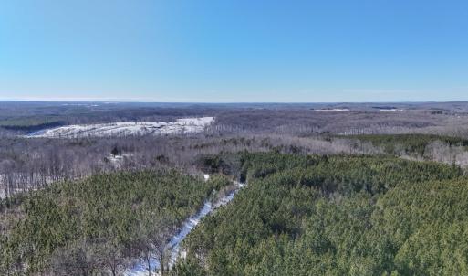 Photo #4 of 5343 Deer Run Road, Farmville, VA 45.2 acres