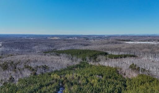 Photo #8 of 5343 Deer Run Road, Farmville, VA 45.2 acres