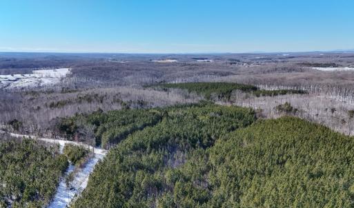 Photo #9 of 5343 Deer Run Road, Farmville, VA 45.2 acres