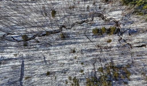 Photo #13 of 5343 Deer Run Road, Farmville, VA 45.2 acres