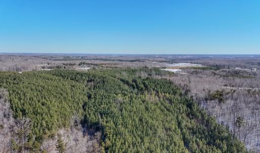 Photo #17 of 5343 Deer Run Road, Farmville, VA 45.2 acres