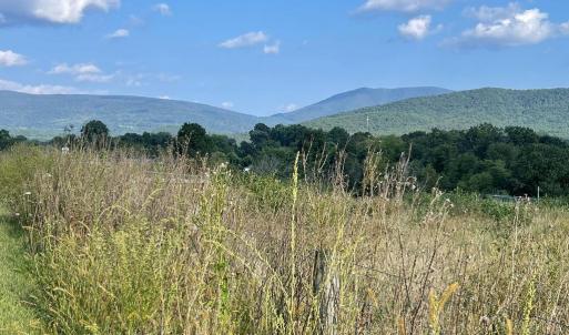 Photo #6 of ATKINS DRIVE, LURAY, VA 31.7 acres