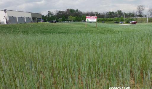 Photo #4 of 850 SHENANDOAH VILLAGE DR, WAYNESBORO, VA 0.7 acres