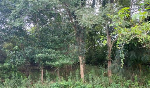 Photo #2 of Lot 8 MINK FARM RD, ONANCOCK, VA 6.3 acres