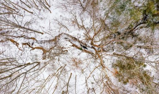 Photo #10 of 15 Farmville Road, Farmville, VA 74.4 acres