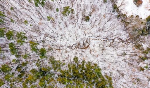 Photo #11 of 15 Farmville Road, Farmville, VA 74.4 acres