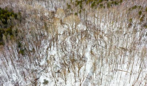 Photo #2 of 15 Farmville Road, Farmville, VA 74.4 acres