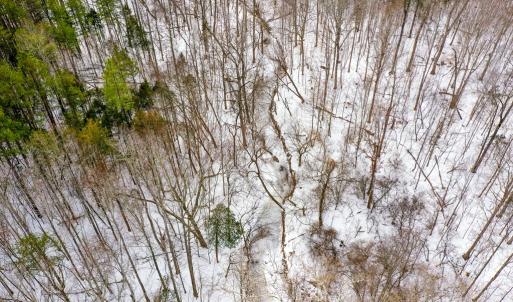 Photo #9 of 15 Farmville Road, Farmville, VA 74.4 acres