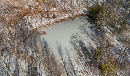 Photo #8 of Abilene Rd, Prince Edward, VA 11.0 acres