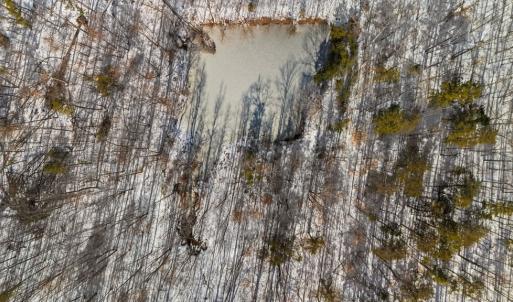 Photo #4 of Abilene Rd, Prince Edward, VA 11.0 acres