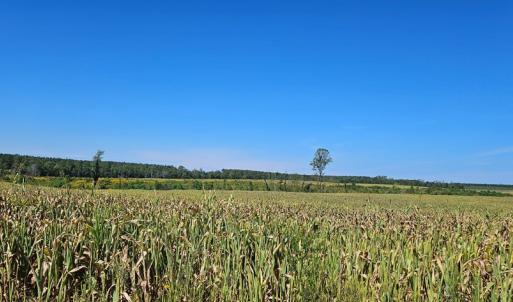 Photo #10 of Glenmore Road, Scottsville, VA 1,202.0 acres