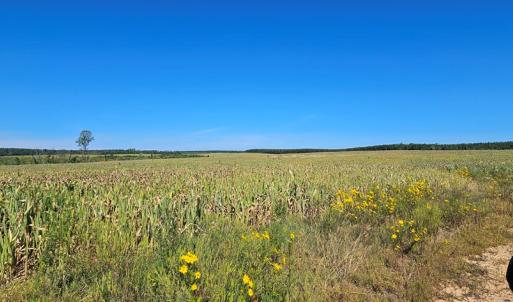 Photo #11 of Glenmore Road, Scottsville, VA 1,202.0 acres