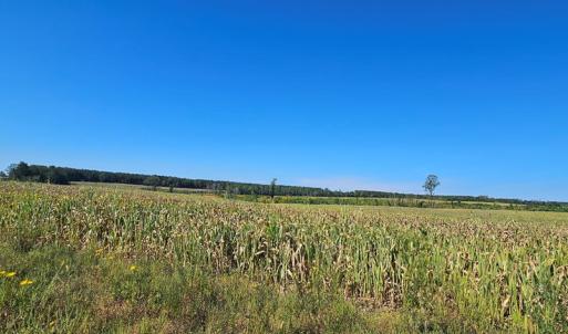 Photo #13 of Glenmore Road, Scottsville, VA 1,202.0 acres