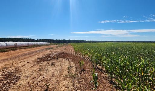 Photo #2 of Glenmore Road, Scottsville, VA 1,202.0 acres