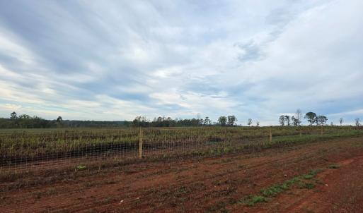 Photo #22 of Glenmore Road, Scottsville, VA 1,202.0 acres