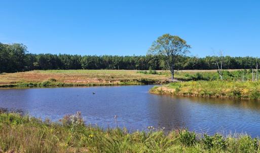 Photo #3 of Glenmore Road, Scottsville, VA 1,202.0 acres