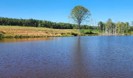 Photo #4 of Glenmore Road, Scottsville, VA 1,202.0 acres