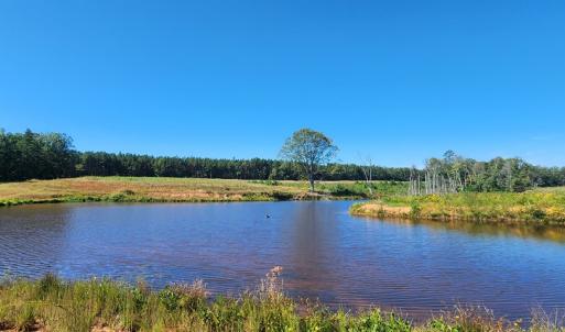 Photo #6 of Glenmore Road, Scottsville, VA 1,202.0 acres