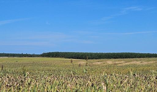 Photo #7 of Glenmore Road, Scottsville, VA 1,202.0 acres