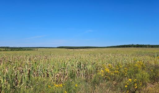 Photo #8 of Glenmore Road, Scottsville, VA 1,202.0 acres