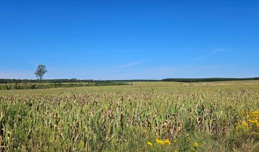 Photo #9 of Glenmore Road, Scottsville, VA 1,202.0 acres