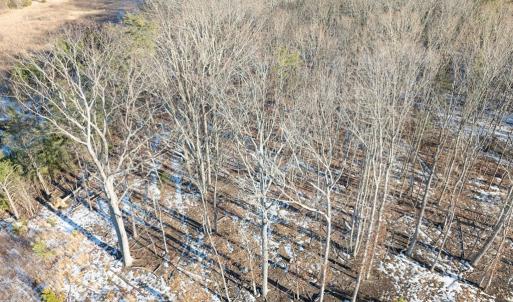 Photo #24 of O Five Forks Road, Pamplin, VA 4.5 acres