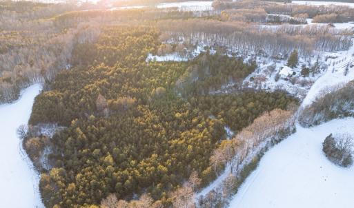 Photo #2 of Bakers Circle Road, Cullen, VA 3.7 acres