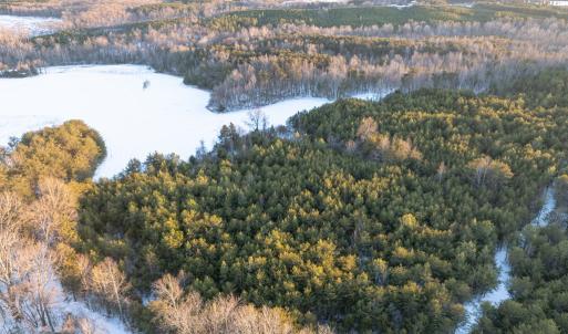 Photo #4 of Bakers Circle Road, Cullen, VA 3.7 acres