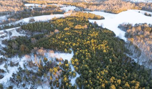 Photo #7 of Bakers Circle Road, Cullen, VA 3.7 acres