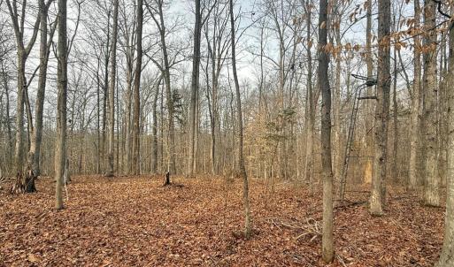Photo #10 of 62 Willis Bluff LN, Cumberland, VA 8.0 acres