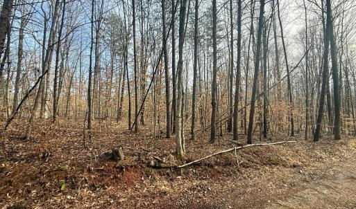Photo #11 of 62 Willis Bluff LN, Cumberland, VA 8.0 acres