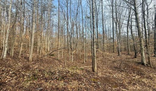 Photo #12 of 62 Willis Bluff LN, Cumberland, VA 8.0 acres