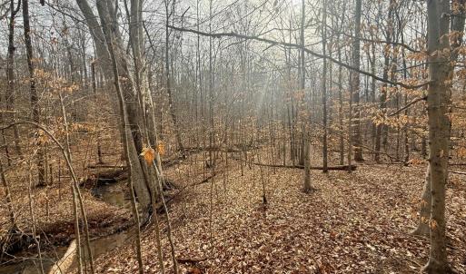 Photo #5 of 62 Willis Bluff LN, Cumberland, VA 8.0 acres