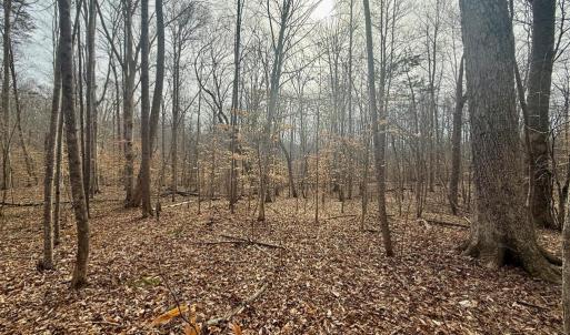 Photo #8 of 62 Willis Bluff LN, Cumberland, VA 8.0 acres