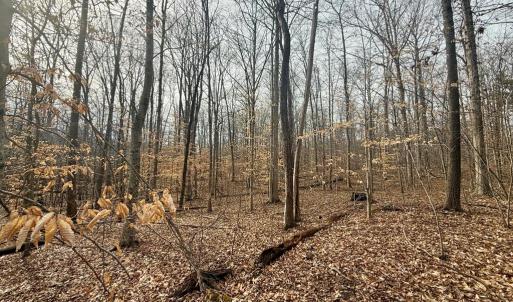 Photo #9 of 62 Willis Bluff LN, Cumberland, VA 8.0 acres