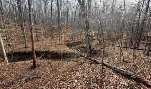 Photo #3 of 62 Willis Bluff LN, Cumberland, VA 8.0 acres