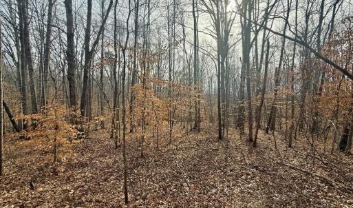 Photo #2 of 62 Willis Bluff LN, Cumberland, VA 8.0 acres