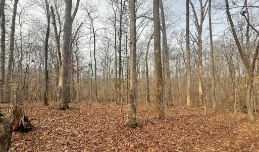 Photo #4 of 62 Willis Bluff LN, Cumberland, VA 8.0 acres
